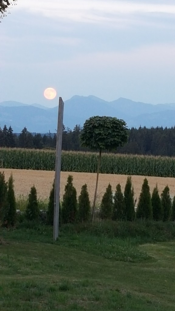 20150731_204351
