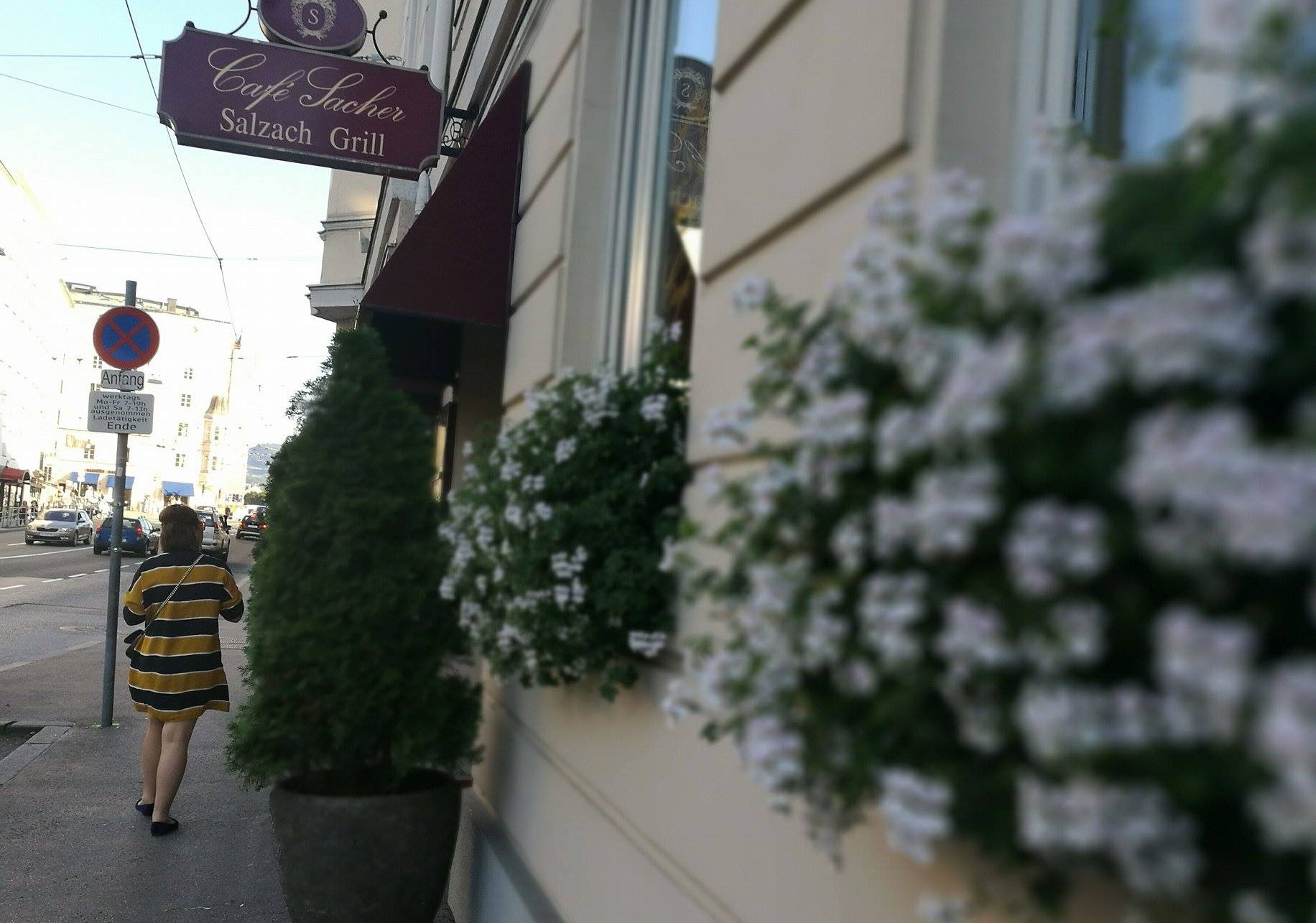 Sacher Grill