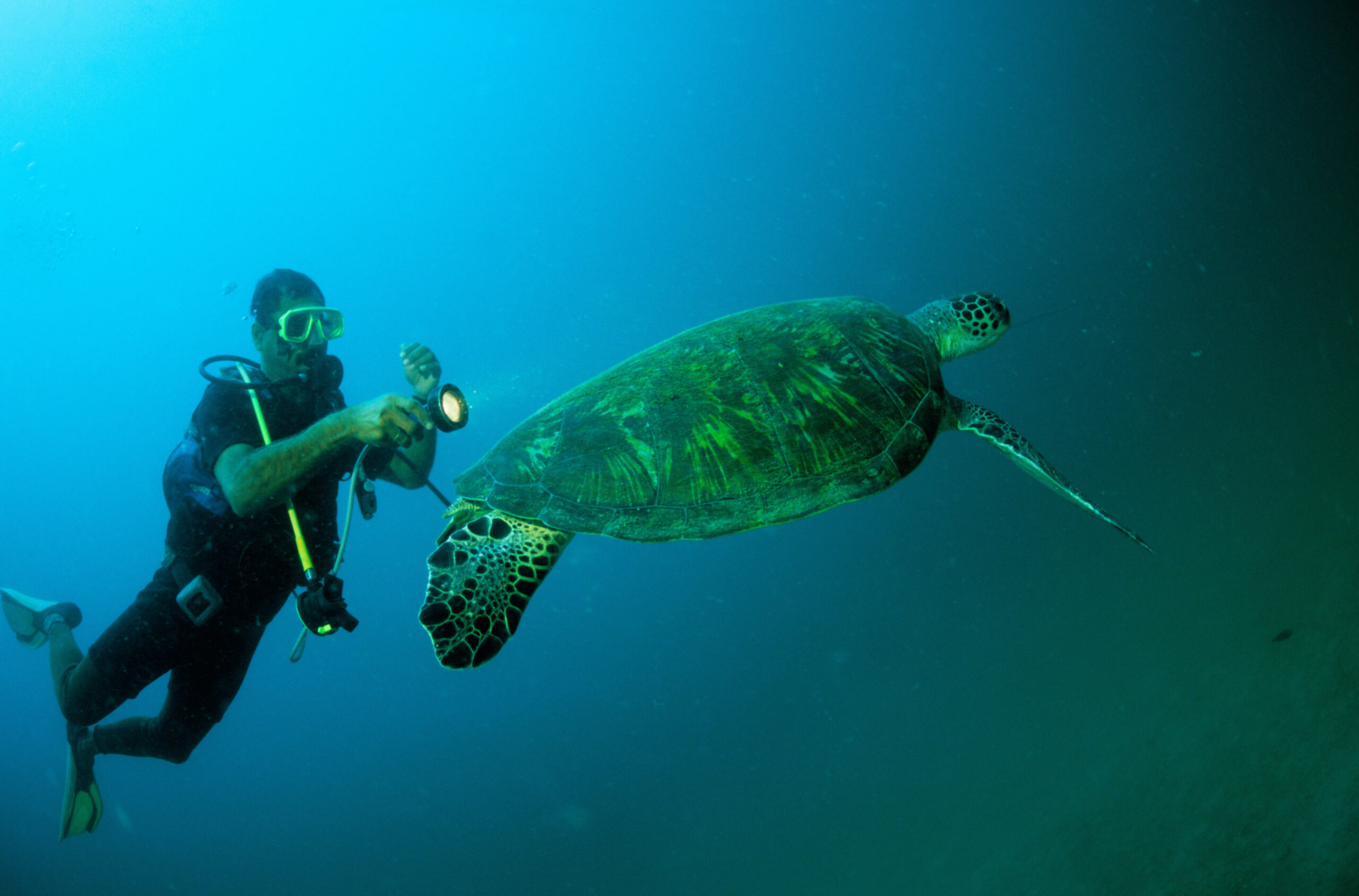 Best snorkelling spots in Oman