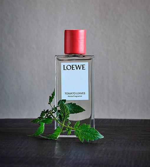 LOEWE Tomato Leaves Home Scents